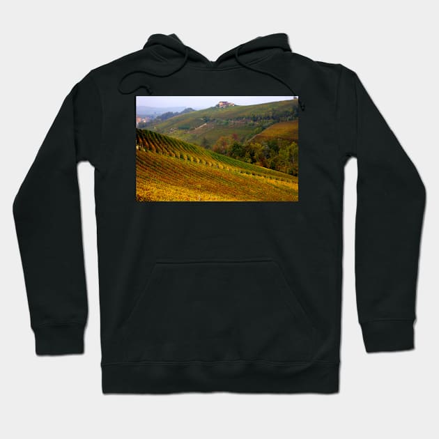 Vineyards of Barolo Hoodie by annalisa56